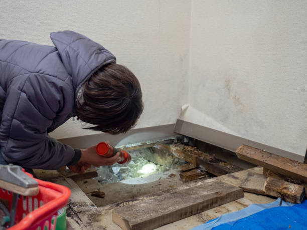 Best Airborne Mold Testing  in Castalia, OH
