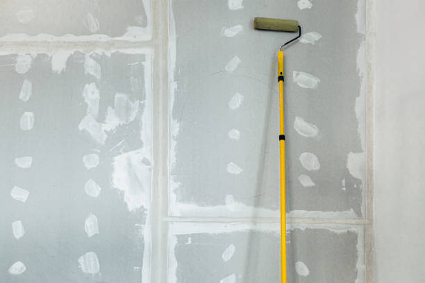 Best Asbestos and Lead Testing During Mold Inspection  in Castalia, OH