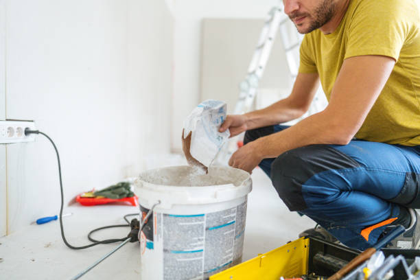 Best Mold Odor Removal Services  in Castalia, OH