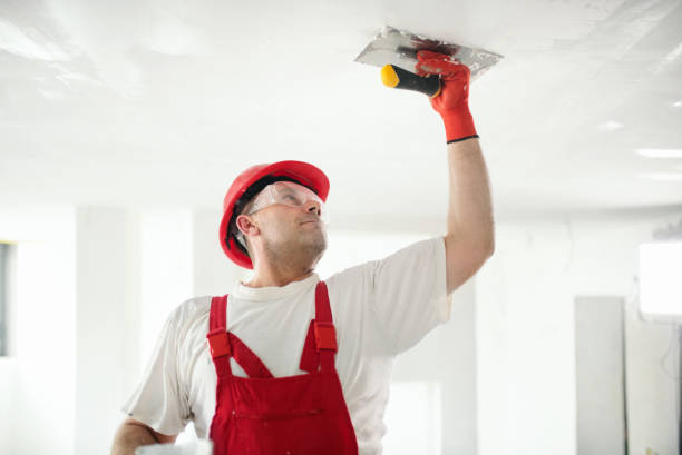 Best Attic Mold Removal  in Castalia, OH