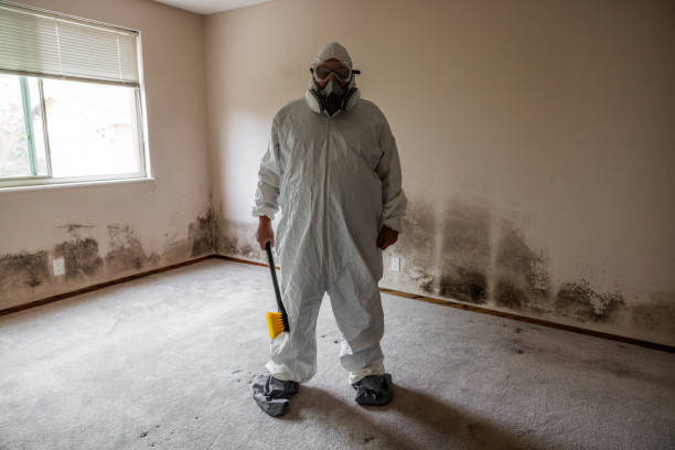 Best HVAC Mold Inspection and Cleaning  in Castalia, OH