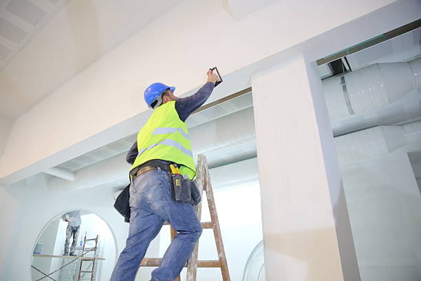 Best Black Mold Removal  in Castalia, OH