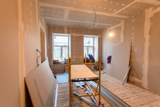Best Comprehensive Air Testing for Mold Contaminants  in Castalia, OH